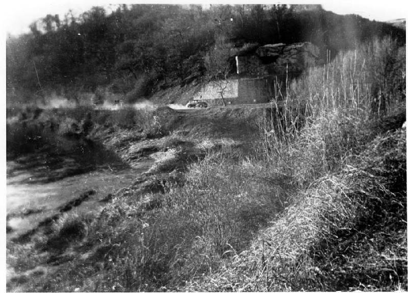 50er Jahre Bild Nr.207